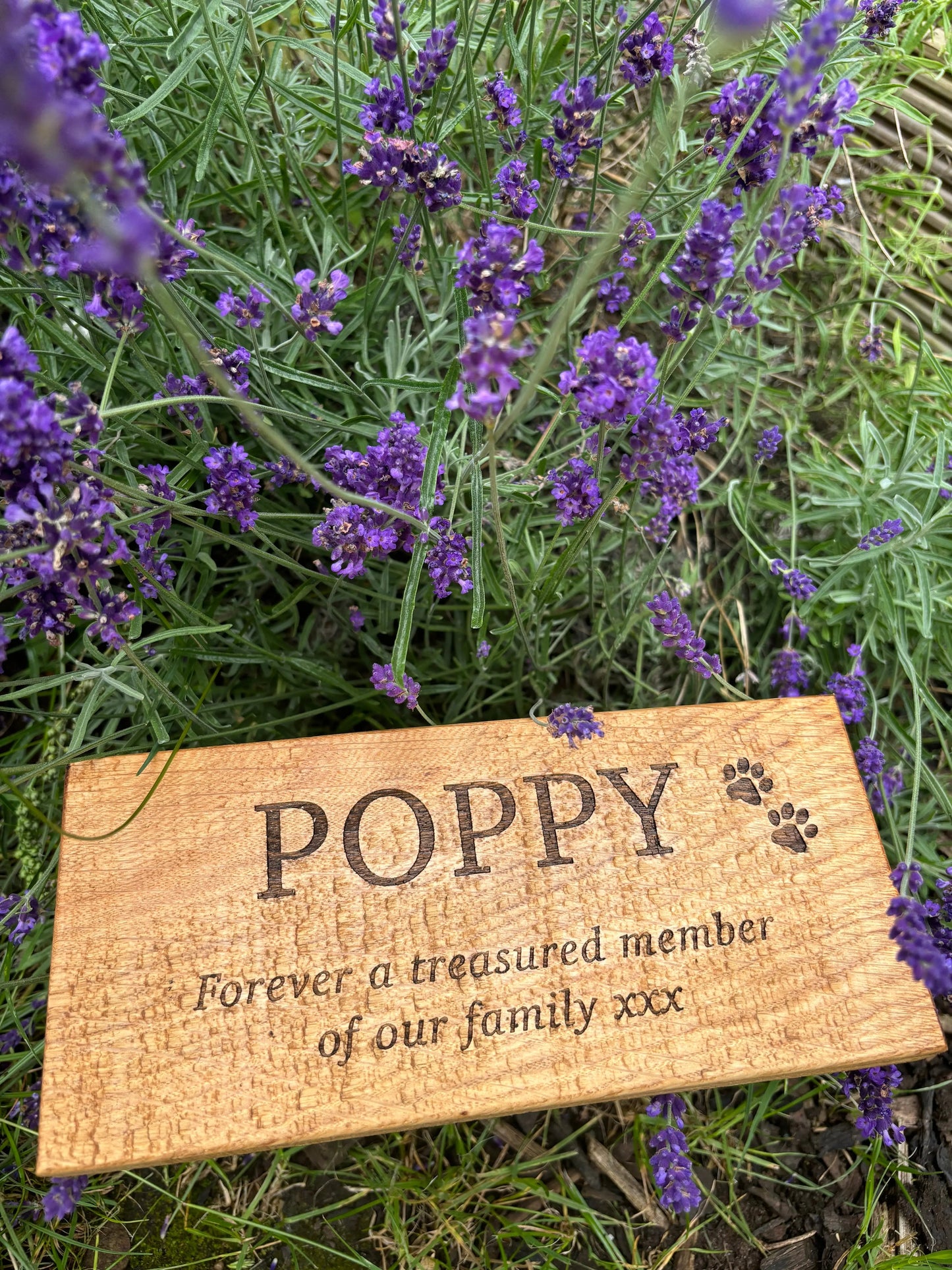 Pet Oak Engraved Memorial Plaque The Rolling Cow